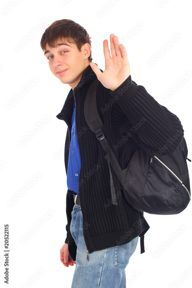 teenager wave goodbye isolated on the white teenager wave goodbye isolated on the white