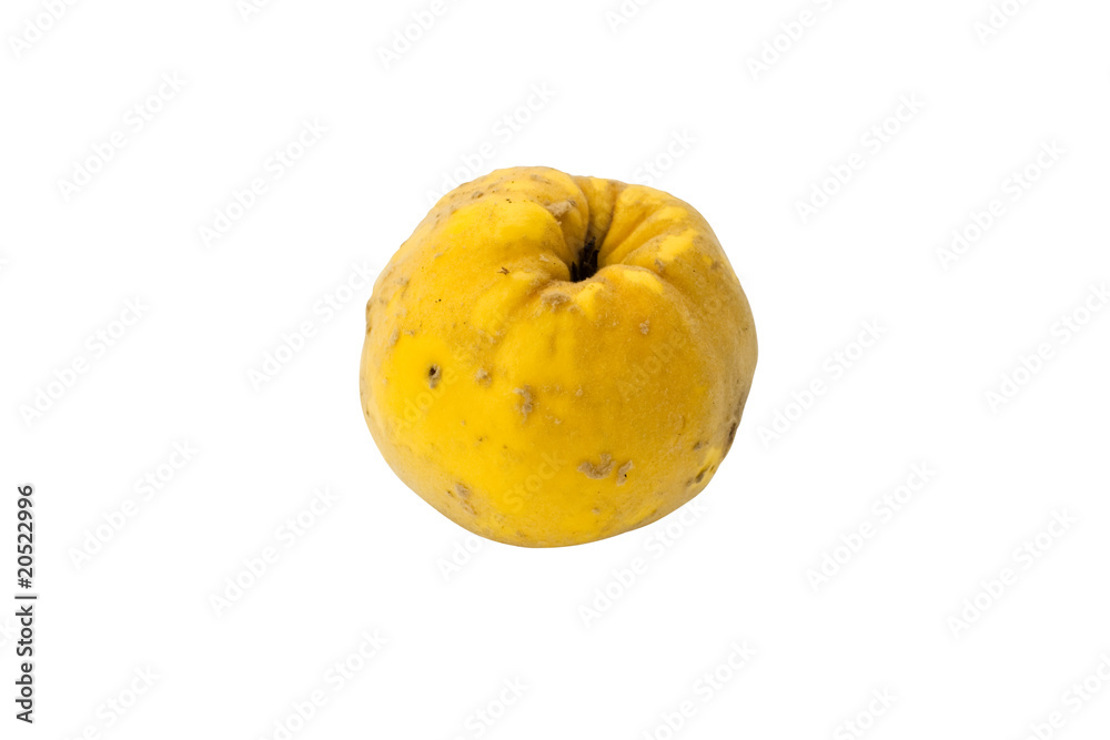 Quince on a white background Quince on a white background
