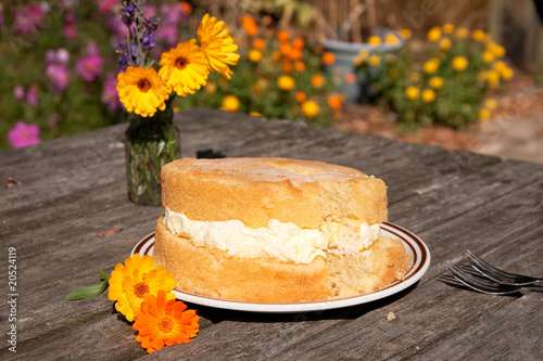 Lopsided frosted sponge cake with flowers