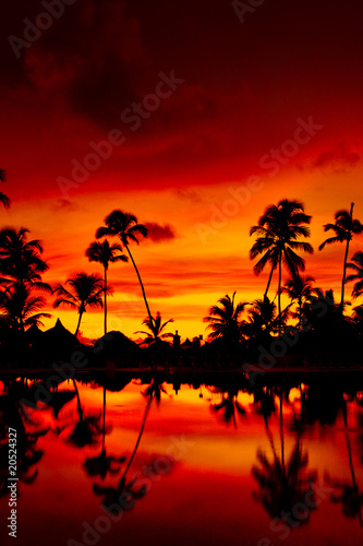 Orange sunset over palm beach near sea in summer