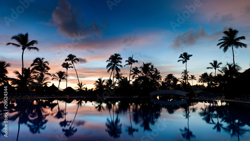 Panorama of a palm beach under sunset sky