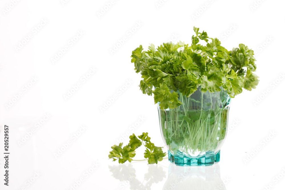 fresh parsley. fresh parsley.