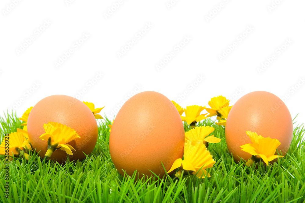 Three brown chicken eggs on grass Three brown chicken eggs on grass