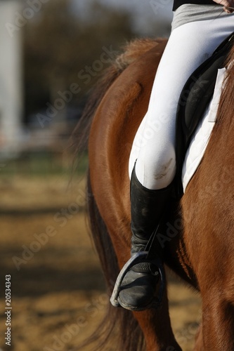 Equitation photo