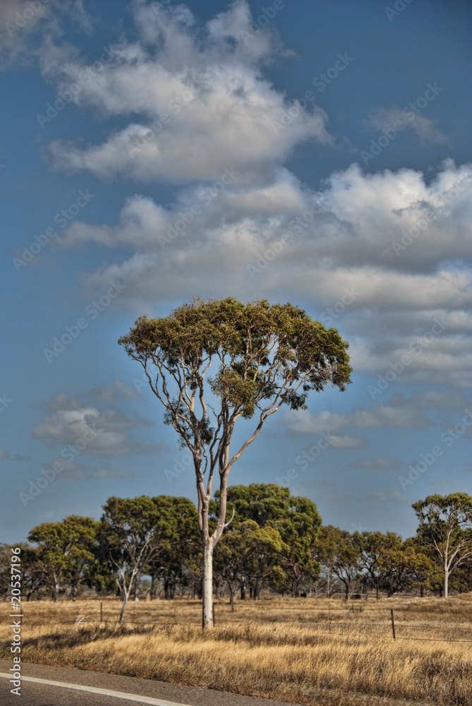 Obraz premium Countryside of Queensland, Australia