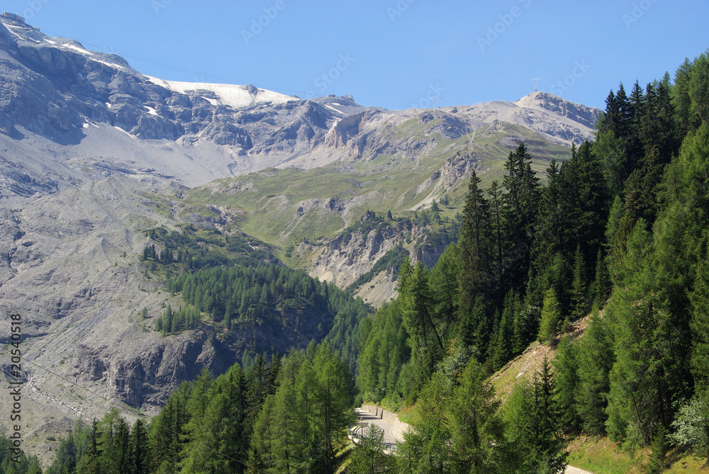 Ortler Massiv - Ortler Alps 08