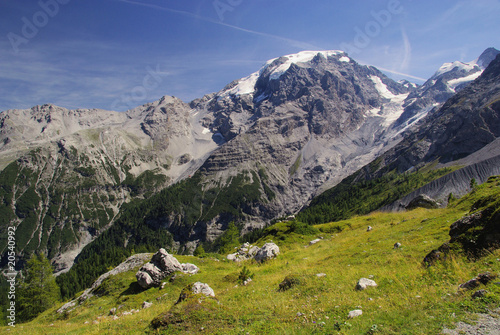 Ortler Massiv - Ortler Alps 17