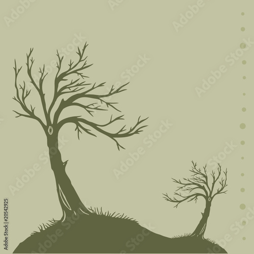 Baum, Bäume, Wiese, oliv, hintergrund, background