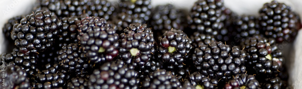 Brombeeren Brombeeren