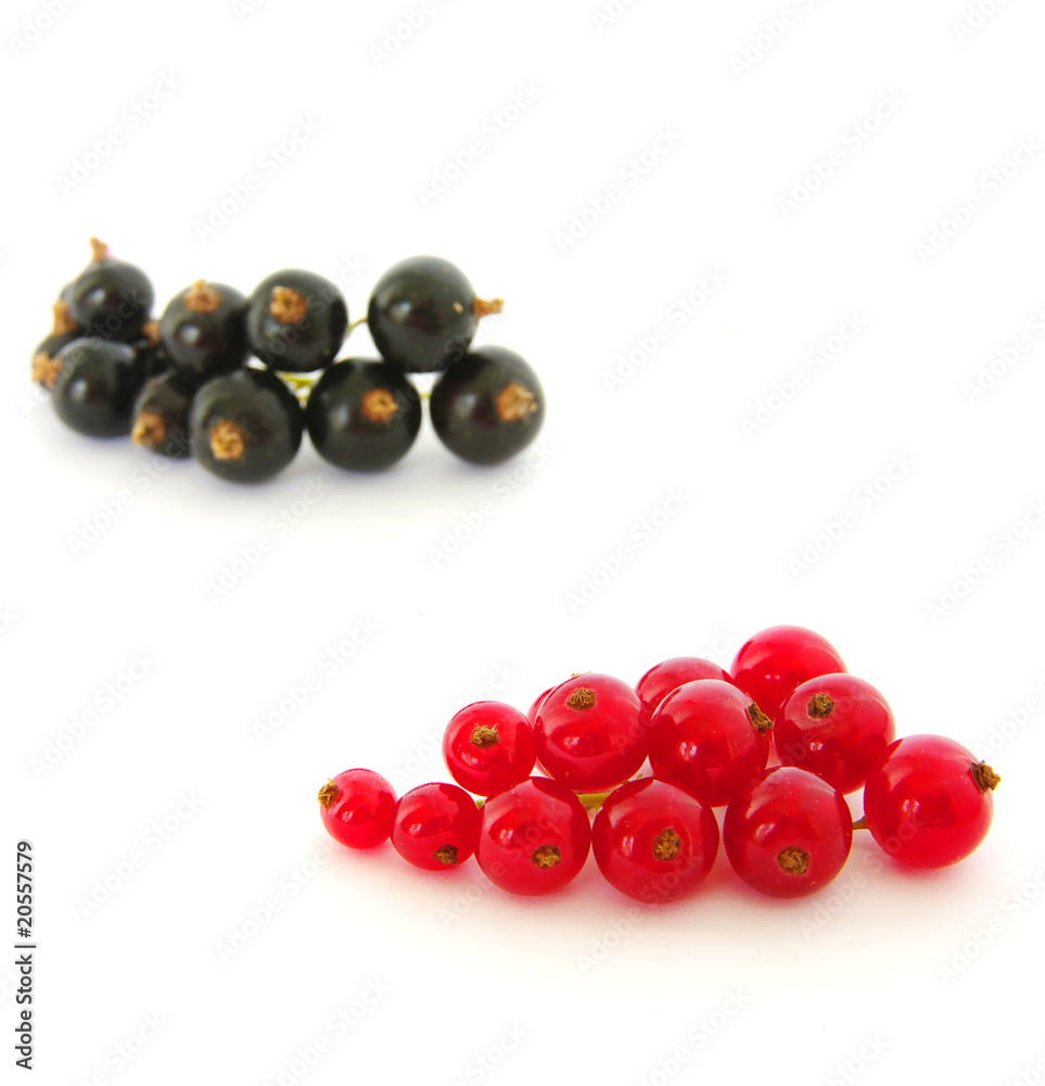 red currants red currants