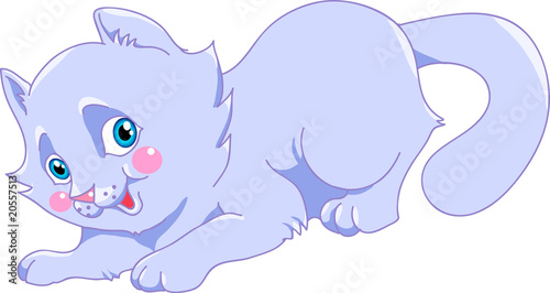 blue kitten