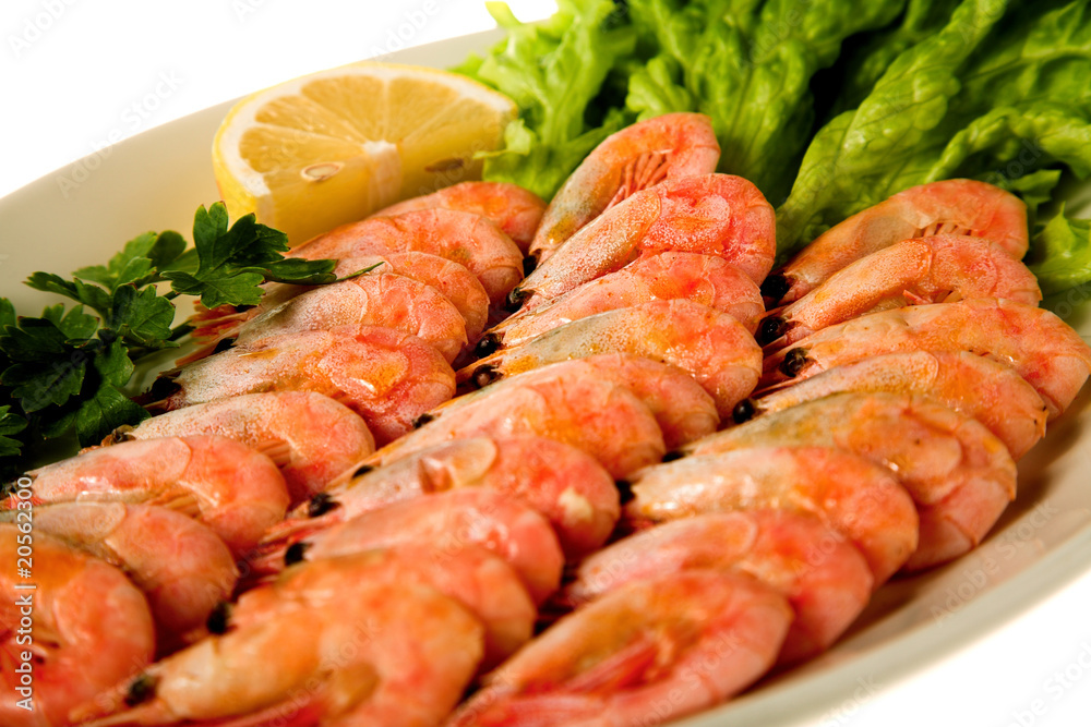 appetizer appetizer