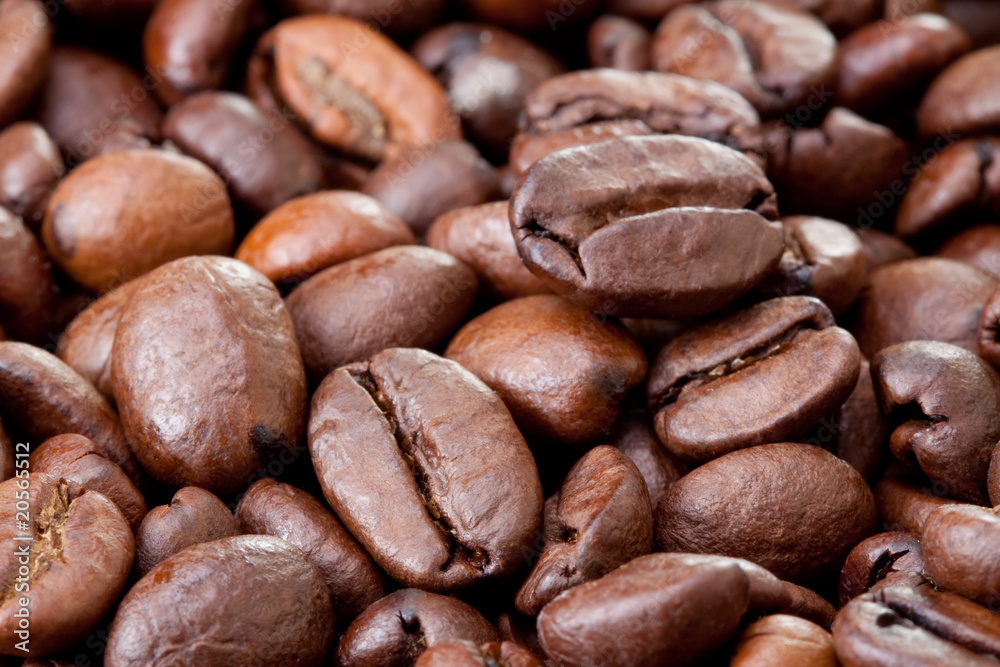 Naklejka premium fresh roasted coffee beans