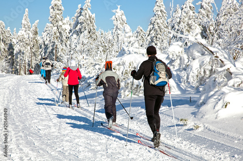 Foto Ski Langlauf  4593