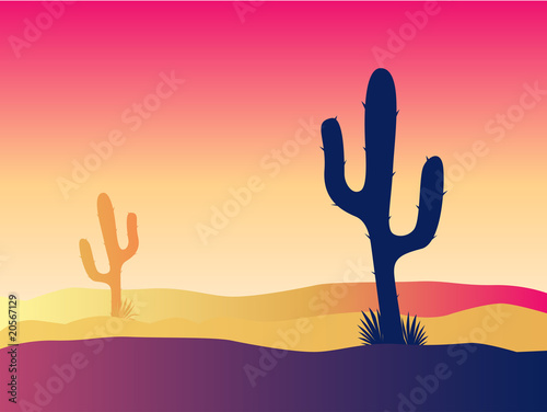 Cactus desert sunset. VECTOR CARTOON ILLUSTRATION.