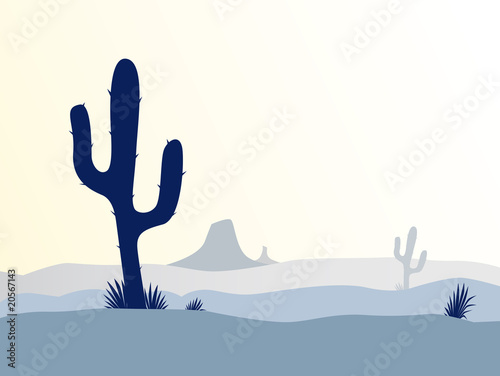 Cactus desert sunset. VECTOR CARTOON ILLUSTRATION.