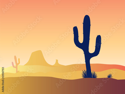 Cactus desert sunset. VECTOR CARTOON ILLUSTRATION.