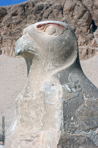 faucon, gardien du temple d'Hatchepsout en Egypte