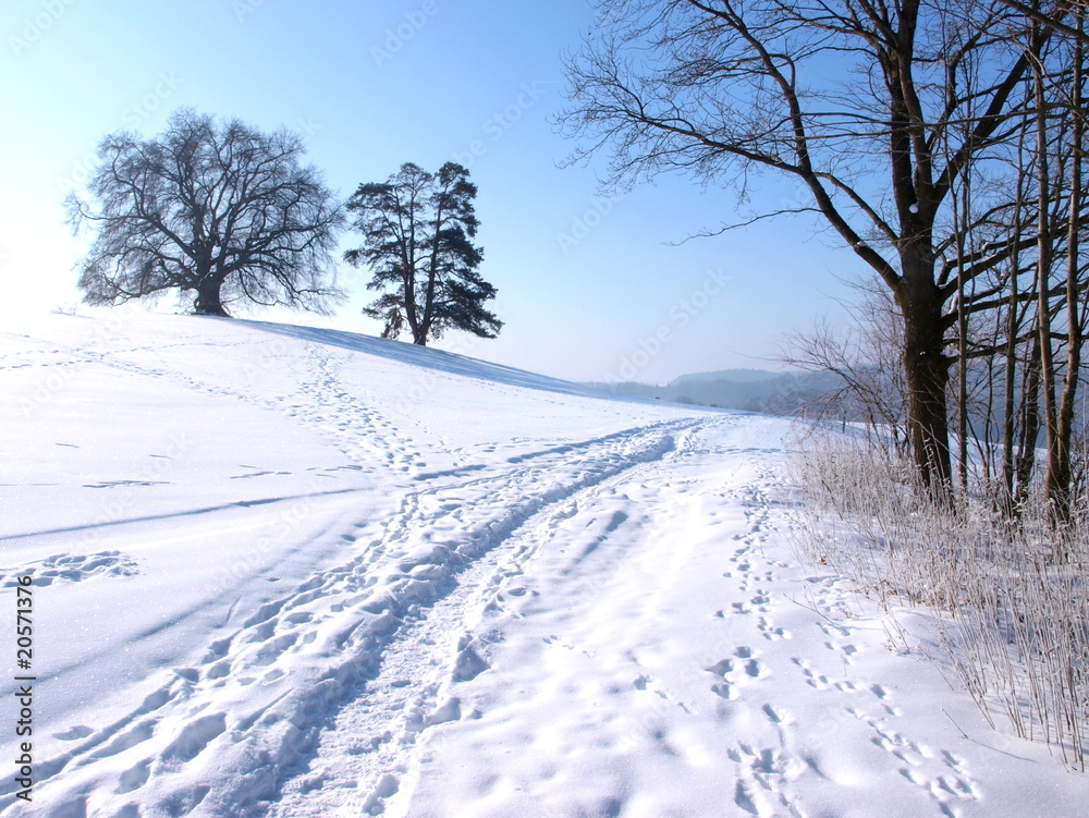 Winterweg Winterweg
