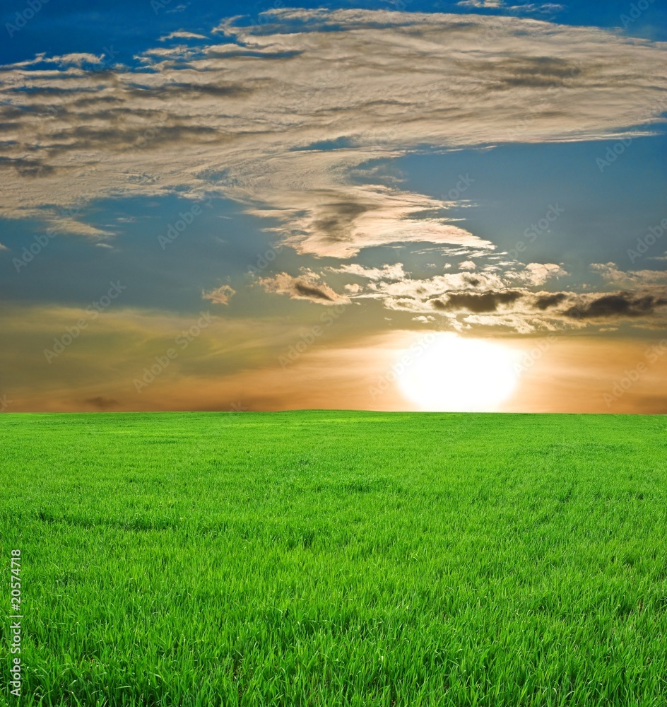 sunset in a fields