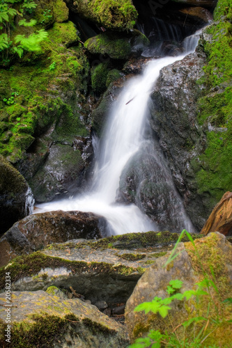 Bunch Creek Falls