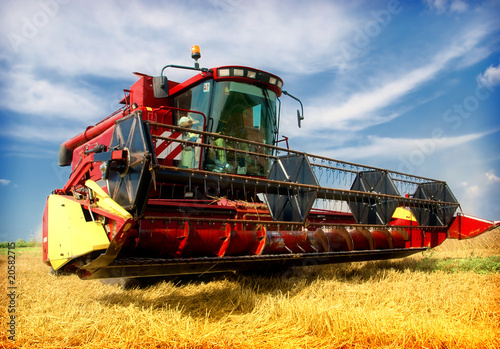 Tableau sur toile Combine working on a wheat field