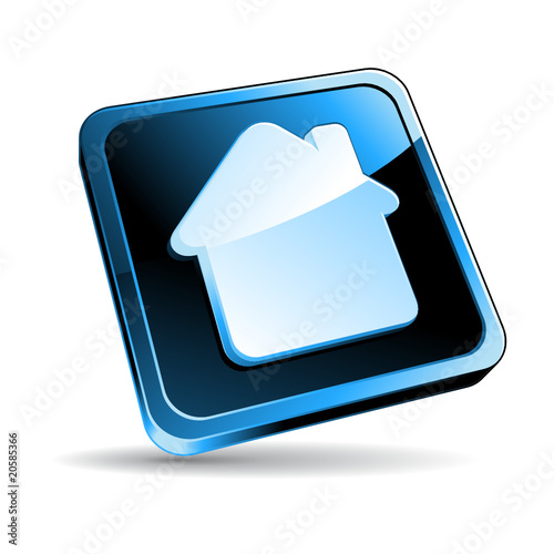 Home button