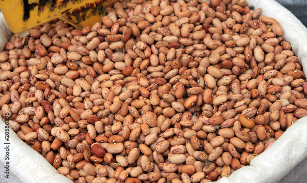 Pinto beans Pinto beans