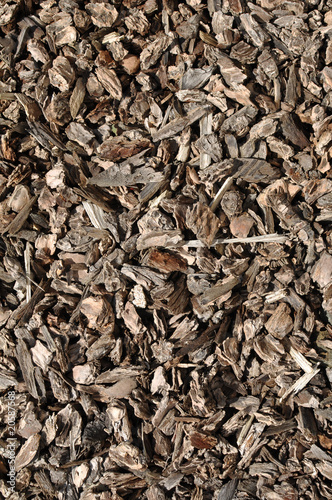 Landscape Brown Bark Background