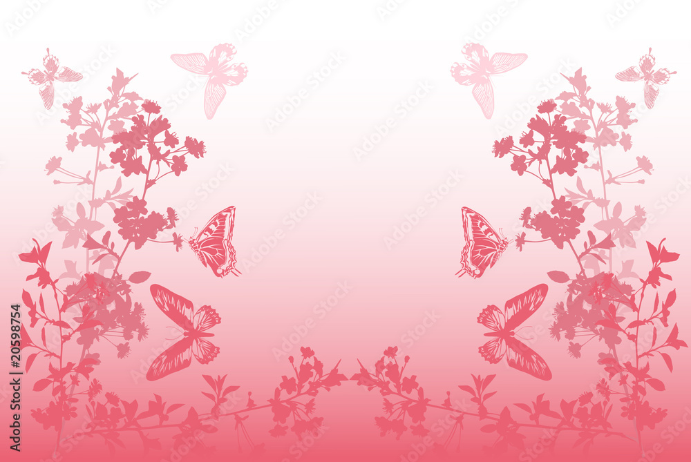 butterflies and half flower pink frame