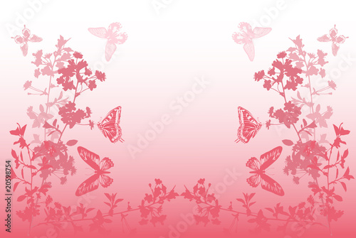 butterflies and half flower pink frame