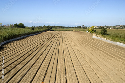 campo arato
