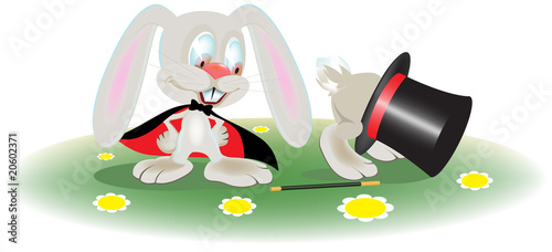 rabbit magician