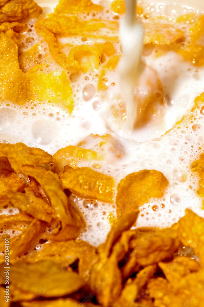 Corn flakes Corn flakes