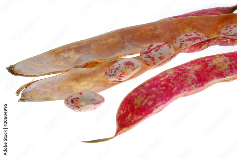 fresh beans on white background fresh beans on white background