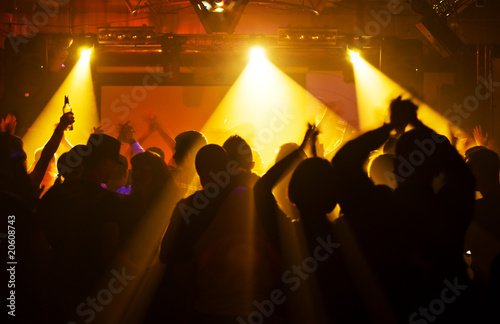 Concert crowd