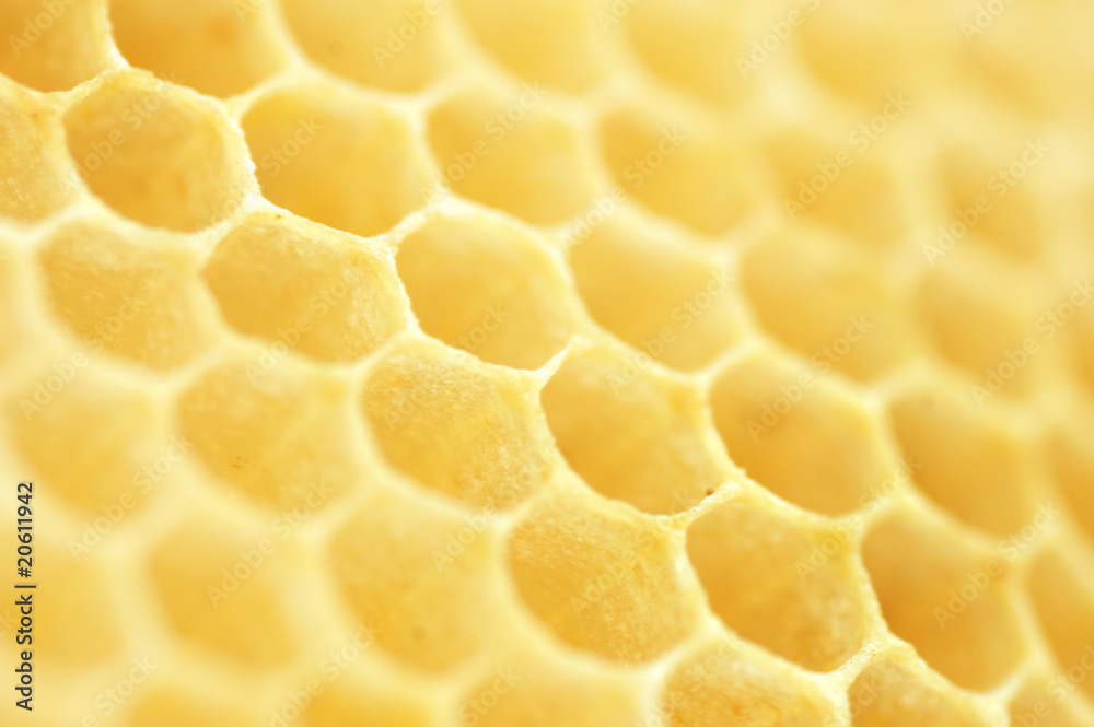 Honeycomb background.Selective focus