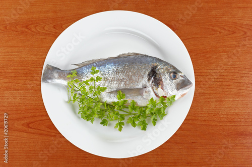 Fresh fish