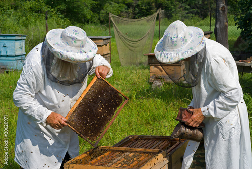 Beekeepers 10