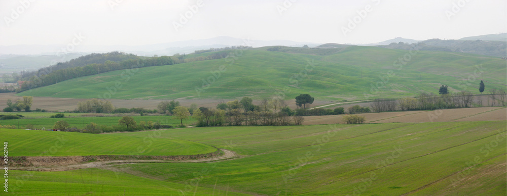 Paisaje de la región Toscana. Italia