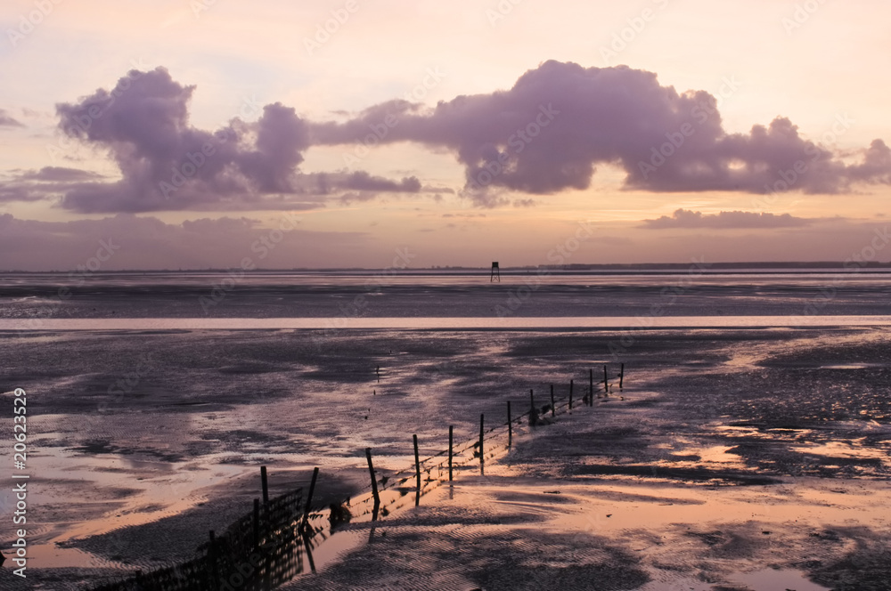 Naklejka premium Fierce sunrise