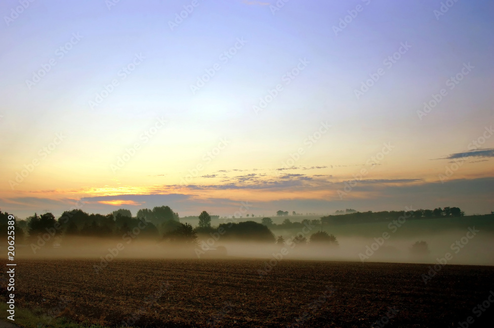Landschaft am frühen Morgen im Nebel