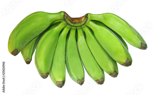 Green banana known as Plantain photo