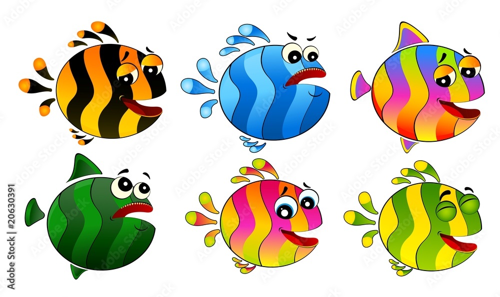 little colorful tropical fish little colorful tropical fish