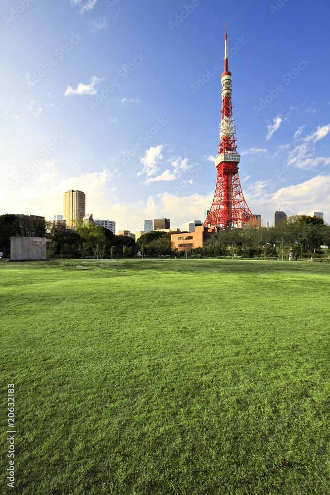 Obraz premium Tokyo Tower