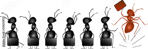 emploi