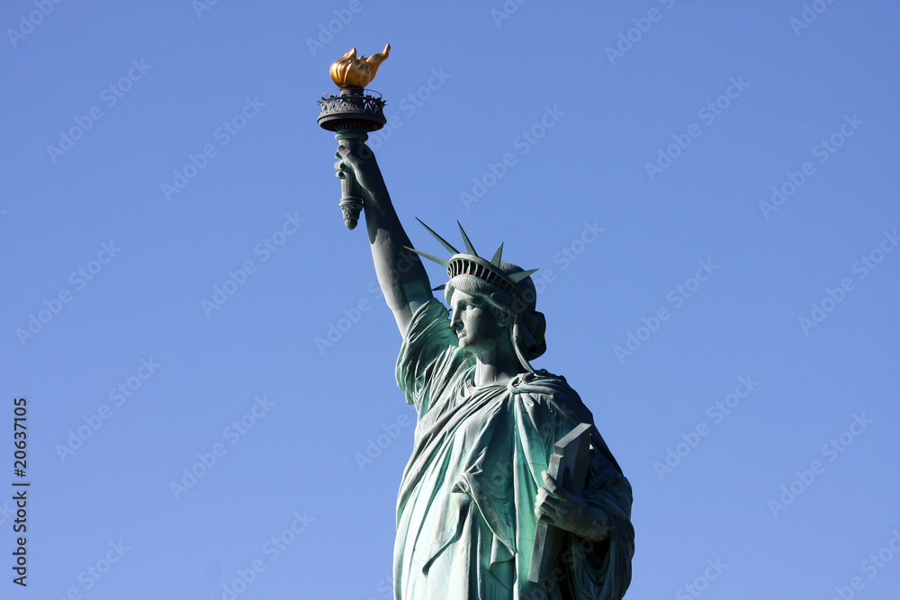 Fototapeta premium Miss Liberty