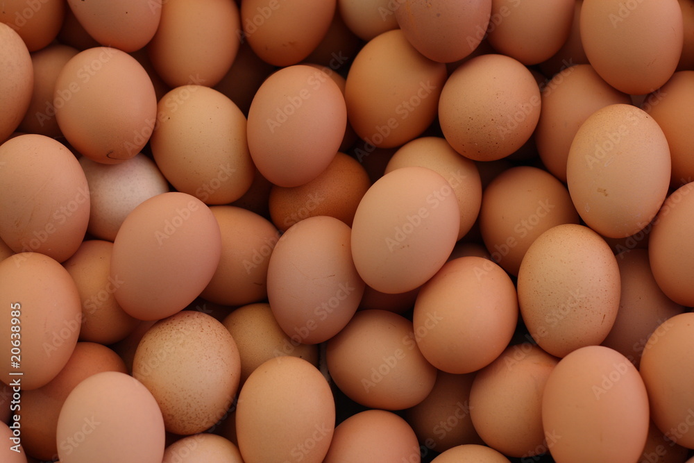 eggs