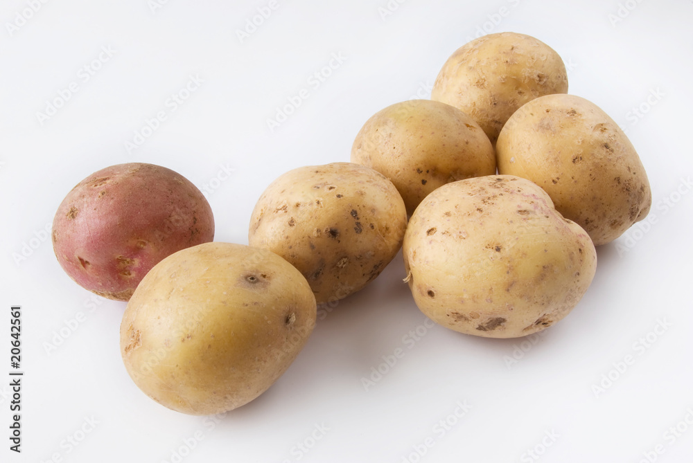 Yellow Potatoes raw and one red colors over white background Yellow Potatoes raw and one red colors over white background