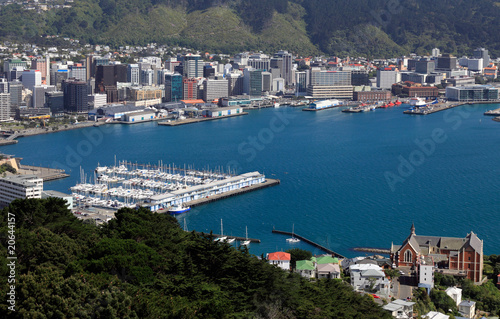Wellington City and Harbour